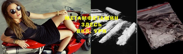 прущие грибы Краснотурьинск