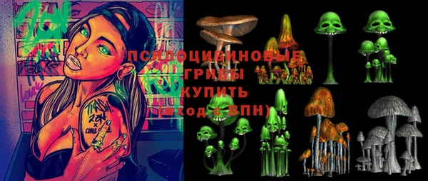 меф Корсаков
