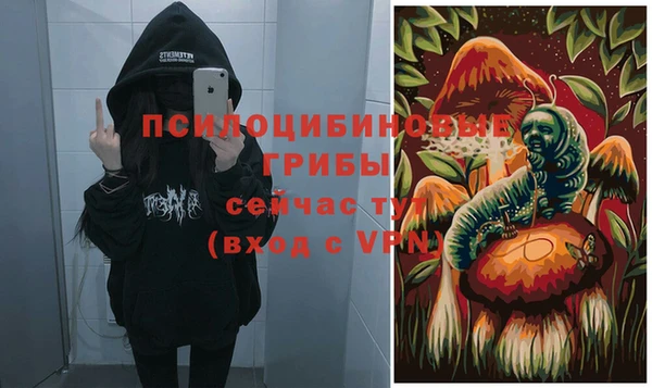 соль ск Костерёво