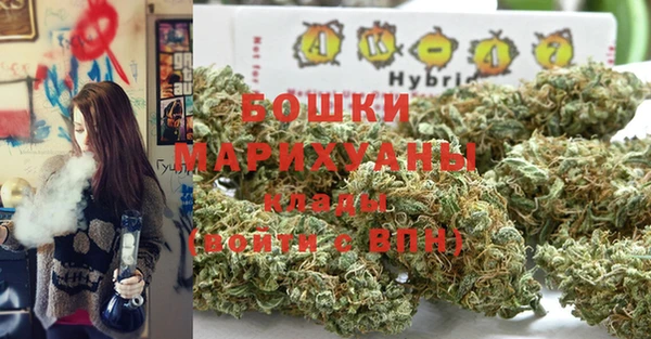 соль ск Костерёво