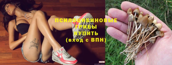 меф Корсаков